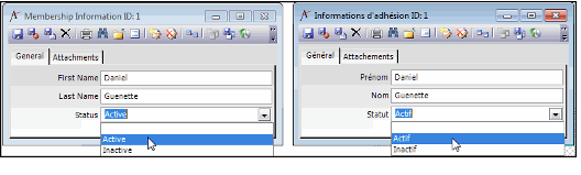 Example of Localized Standard Static List-Based Combo Box