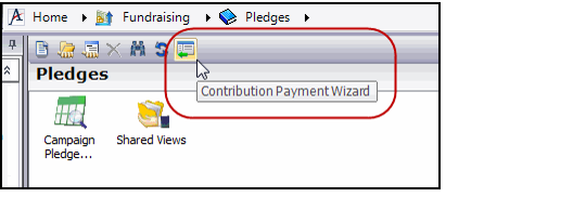 Contribution Payment -Wizard Icon
