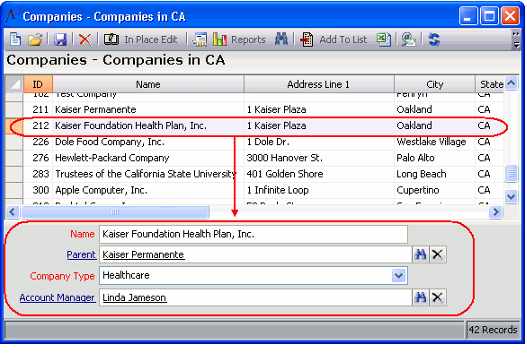 List View with Preview Pane for Companies